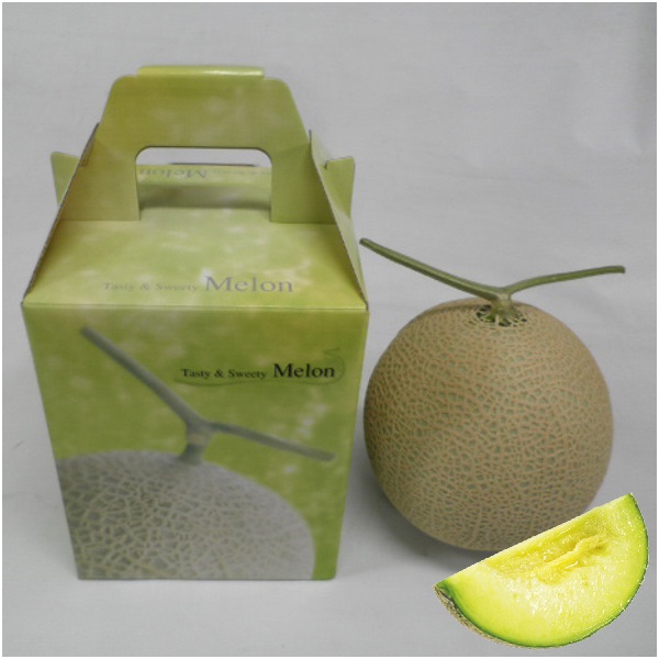 高知県産アールスメロン 6個入り9K 高知県産アールスメロン 6個入り9K
