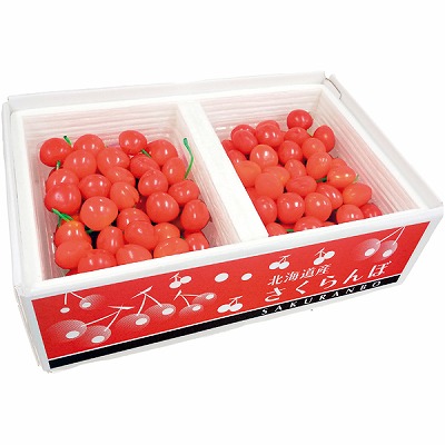 さくらんぼ imgrc0095591132.jpg
