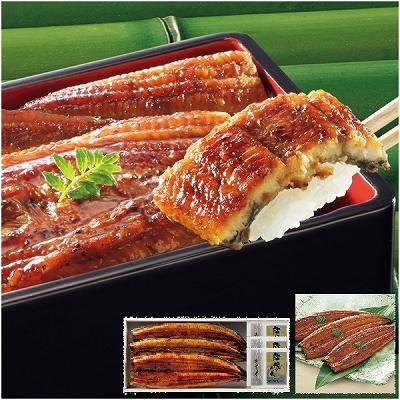鰻楽 うなぎ蒲焼2尾(九州産原料) QN2/300 | イオン東北オンライン