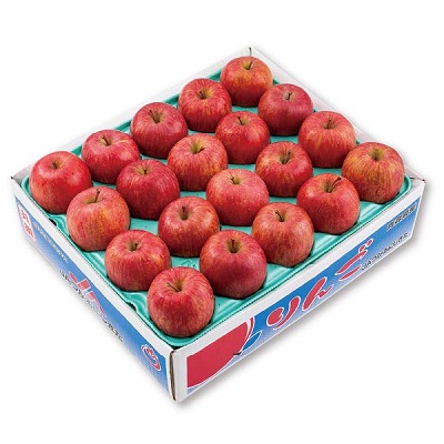 青森県産 JAつがるにしきた サンふじ | イオン東北オンライン