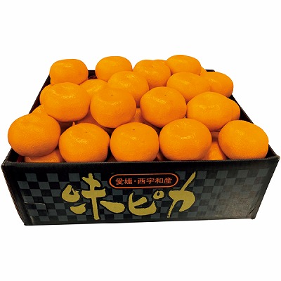 愛媛県産（JAにしうわ川上共選） 味ピカみかん | イオン東北オンライン