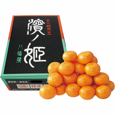 ケビンコメリYU7.10神奈川吉浜、伊東宇佐美受け渡し限定 0-14-07-6_s.jpg