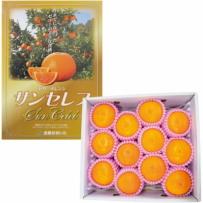 N*o様 オレリー　新品　5つセット　7月２８日着新品 180396761_o1.jpg?