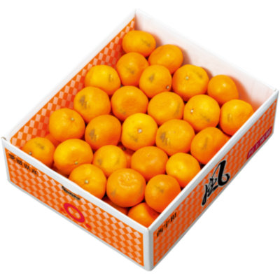 専用♥みかん❤細み★ゆったり大人サイズ☆ネックウォーマー⭐もちぷにパンダ 冷凍みかん（2Sサイズ16個入り）JAおちいまばり ☆クール冷凍