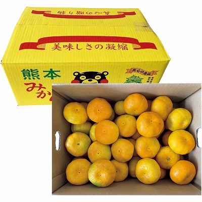 りんごミカン様❉ りんごさん様専用 りんごさま専用 りんごさま専用 専用】りんご様