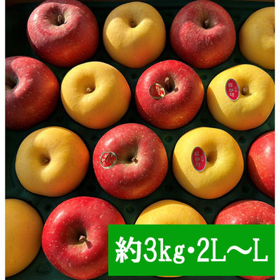 りんごページ 岩手県金ケ崎町産 藤原果樹園のりんご詰合せ（サンふじ・はるか） 約