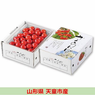 山形県天童市産(ジェイエイてんどうフーズ)　佐藤錦　約500g