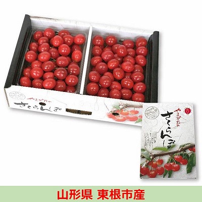 山形県東根市産　ＧＩ東根さくらんぼ「佐藤錦」または「紅秀峰」約１kg