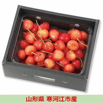 山形県寒河江市産　軽部さんの「佐藤錦」または「紅秀峰」　約500g