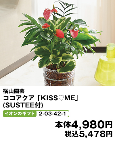 横山園芸 ココアクア「KISS♡ME」(SUSTEE付) イオンのギフト2-03-42-1 本体4,980円 税込5,478円