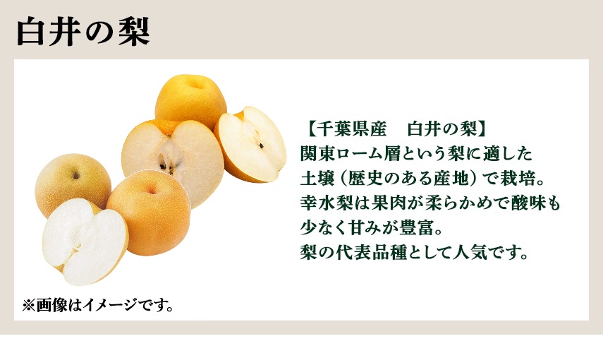 白井の梨 【千葉県産　白井の梨】関東ローム層という梨に適した土壌（歴史のある産地）で栽培。幸水梨は果肉が柔らかめで酸味も少なく甘みが豊富。梨の代表品種として人気です。 ※画像はイメージです。