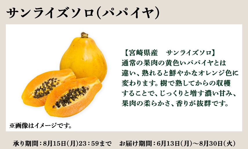 サンライズソロ(パパイヤ) 【宮崎県産　サンライズソロ】通常の果肉の黄色いパパイヤとは違い、熟れると鮮やかなオレンジ色に変わります。樹で熟してからの収穫することで、じっくりと増す濃い甘み、果肉の柔らかさ、香りが抜群です。 ※画像はイメージです。 承り期間：8月15日(月)23：59まで お届け期間：6月13日(月)～8月30日(火)