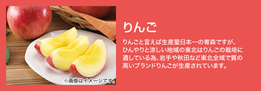 りんご りんごと言えば生産量日本一の青森ですが、ひんやりと涼しい地域の東北はりんごの栽培に適している為、岩手や秋田など東北全域で質の高いブランドりんごが生産されています。