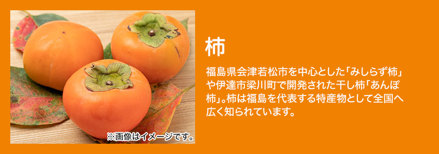 柿 福島県会津若松市を中心とした「みしらず柿」や伊達市梁川町で開発された干し柿「あんぽ柿」。柿は福島を代表する特産物として全国へ広く知られています。