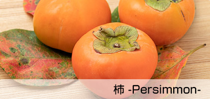 柿 -Persimmon-