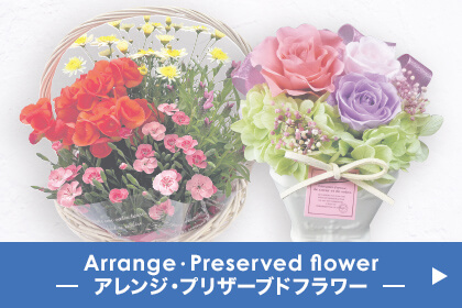 Arrange・Preserved flower アレンジ・プリザーブドフラワー