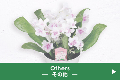 Others その他