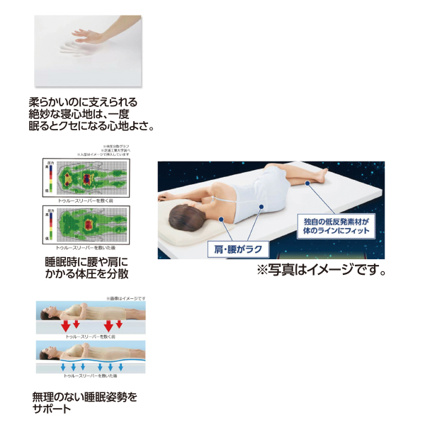 トゥルースリーパー プレミアム5.0 シングル 【商品お渡し予定日：11月