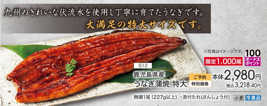S12 鹿児島県産 うなぎ蒲焼 特大 限定1,000尾 ボーナスポイント100 ご予約特別価格 本体2,980円 税込3,218.40円 無頭1尾（227g以上）・添付たれ（さんしょう付） アレルギー：小麦 冷凍品