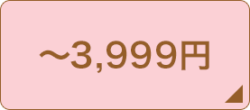 ～3,999円