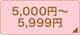 5,000円～5,999円