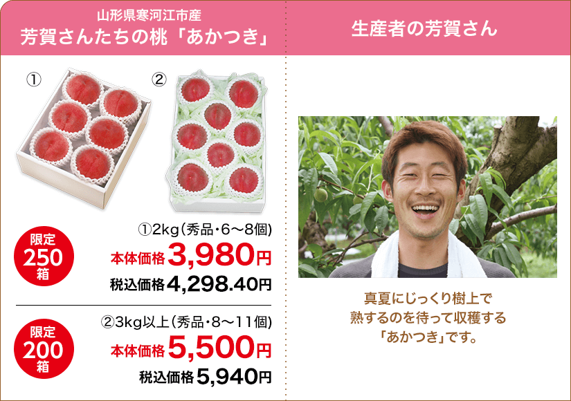 山形県寒河江市産 芳賀さんたちの桃「あかつき」 ①2kg(秀品・6～8個) 限定250箱 本体価格3,980円 税込価格4,298.40円 ②3kg以上(秀品・8～11個) 限定200箱 本体価格5,500円 税込価格5,940円
