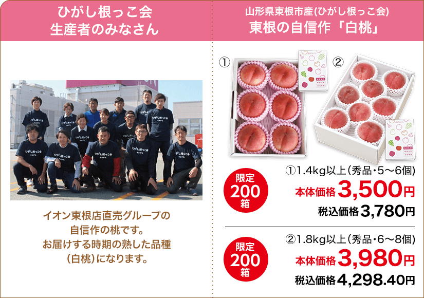 山形県東根市産(ひがし根っこ会) 東根の自信作「白桃」 ①1.4kg以上(秀品・5～6個) 限定200箱 本体価格3,500円 税込価格3,780円 ②1.8kg以上(秀品・6～8個) 限定200箱 本体価格3,980円 税込価格4,298.40円