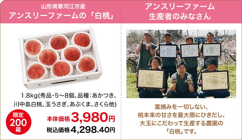 限定200箱 山形県寒河江市産 アンスリーファームの「白桃」 1.8kg(秀品・5～8個、品種：あかつき、川中島白桃、玉うさぎ、あぶくま、さくら他) 本体価格 3,980円 税込価格4,298.40円