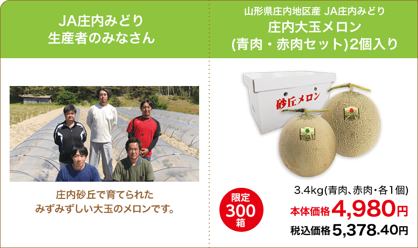 限定300箱 山形県庄内地区産 JA庄内みどり 庄内大玉メロン (青肉・赤肉セット)2個入り 3.4kg(青肉、赤肉・各1個)  本体価格4,980円 税込価格5,378.40円