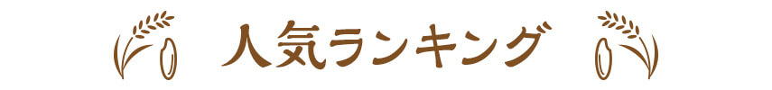 人気ランキング