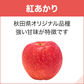 紅あかり 秋田県オリジナル品種 強い甘味が特徴です
