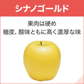 シナノゴールド 果肉は硬め 糖度、酸味ともに高く濃厚な味