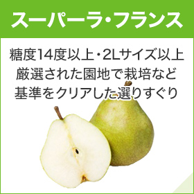 スーパーラ・フランス 糖度14度以上・2Lサイズ以上 厳選された園地で栽培など基準をクリアした選りすぐり