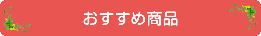 おすすめ商品