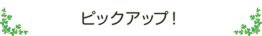 ピックアップ