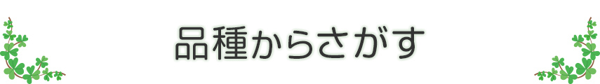 品種から探す