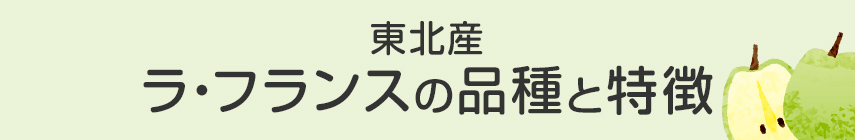 東北産 ラ・フランスの品種と特徴