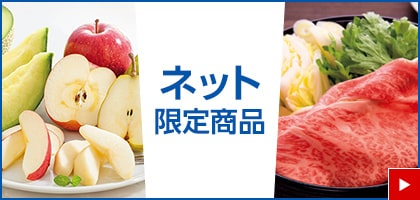 ネット限定商品