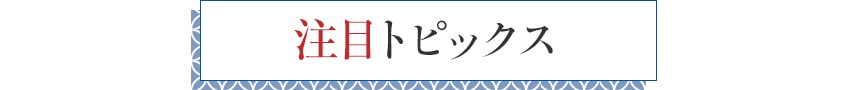 注目トピックス