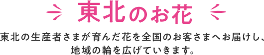 東北のお花