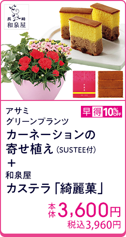 アサミグリーンプランツ カーネーションの寄せ植え（SUSTEE付）＋和泉屋カステラ「綺麗菓」