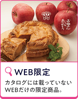 WEB限定