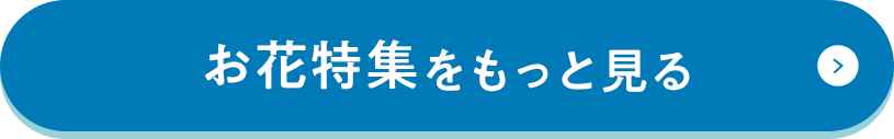 お花特集をもっと見る