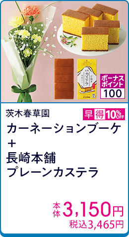 茨木春草園 カーネーションブーケ＋長崎本舗プレーンカステラ