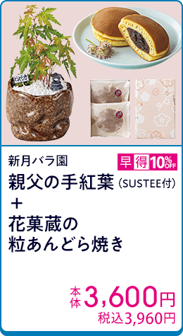 新月バラ園 親父の手紅葉（SUSTEE付）＋花菓蔵の粒あんどら焼き