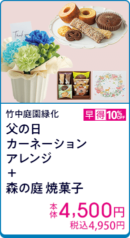 竹中庭園緑化 父の日カーネーションアレンジ＋森の庭 焼菓子