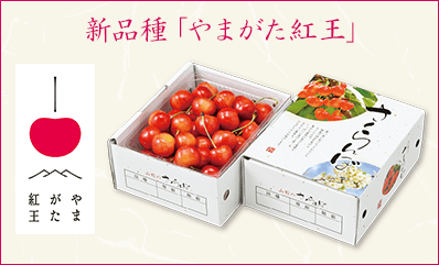 新品種「やまがた紅王」 商品はこちら
