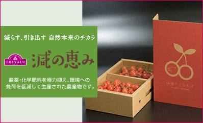 トップバリュ減の恵み 商品はこちら