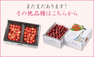 その他品種はこちらから