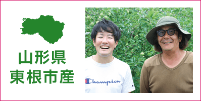 山形県東根市産の商品はこちら